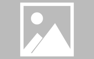 钦州新区景区网站建设（in art criticism,you must assume）